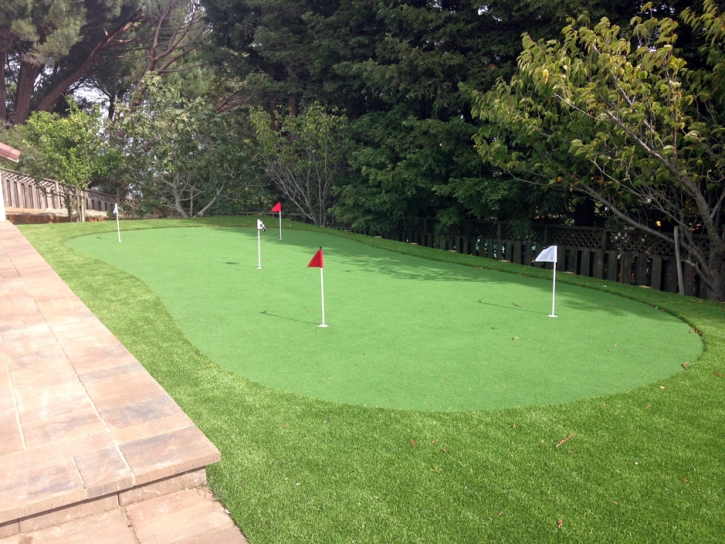 Putting Greens Desert Shores California Fake Grass Dogs