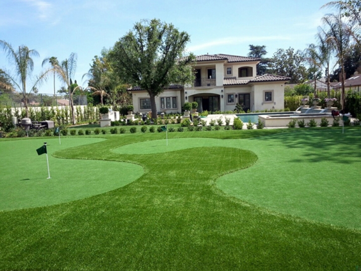 Putting Greens Garnet California Synthetic Grass Back Yard