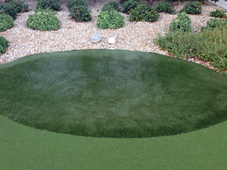 Putting Greens Home Gardens California Synthetic Turf Front