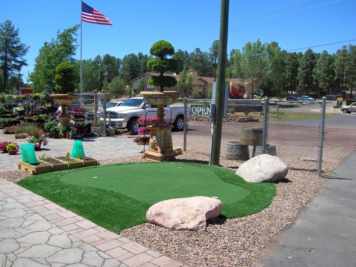 Putting Greens Murrieta California Fake Grass Back Yard