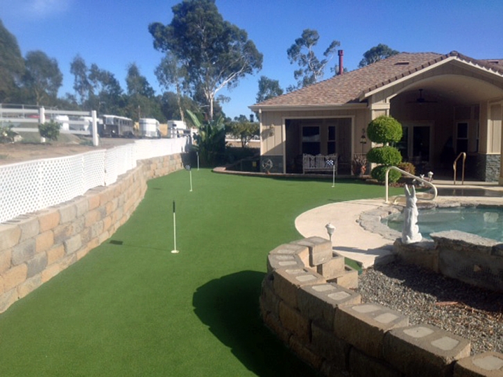 Putting Greens Norco California Synthetic Grass Back Yard