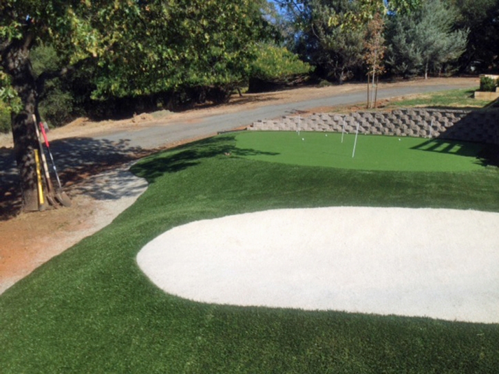 Putting Greens Santee California Fake Grass Back Yard