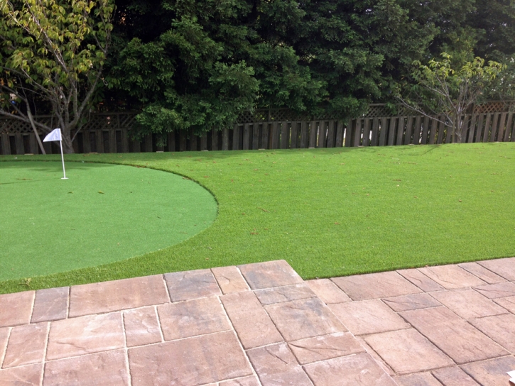 Putting Greens Thermal California Synthetic Turf Back Yard