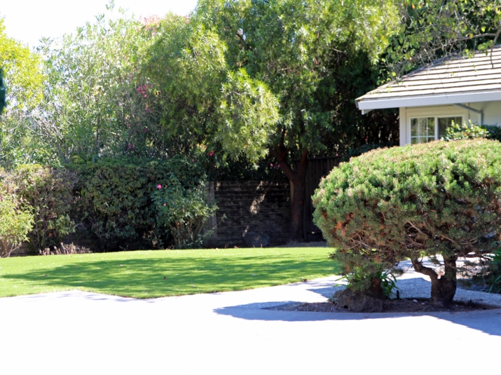 Synthetic Grass Anaheim California Landscape Front Yard