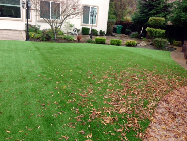 Synthetic Grass Bermuda Dunes California Lawn Front Yard