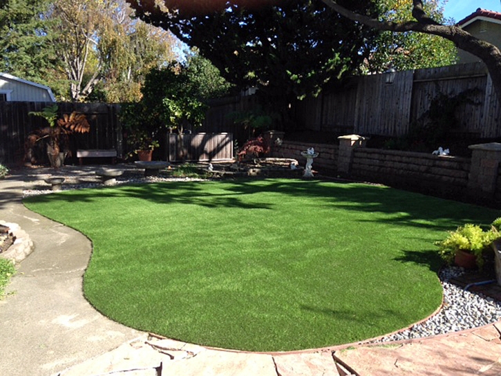 Synthetic Grass Colton California Lawn