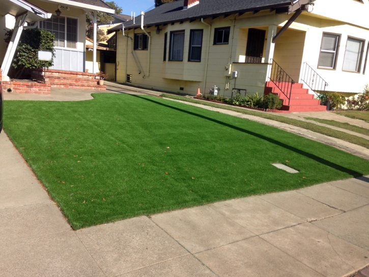 Synthetic Grass Garnet California Landscape Dogs Park