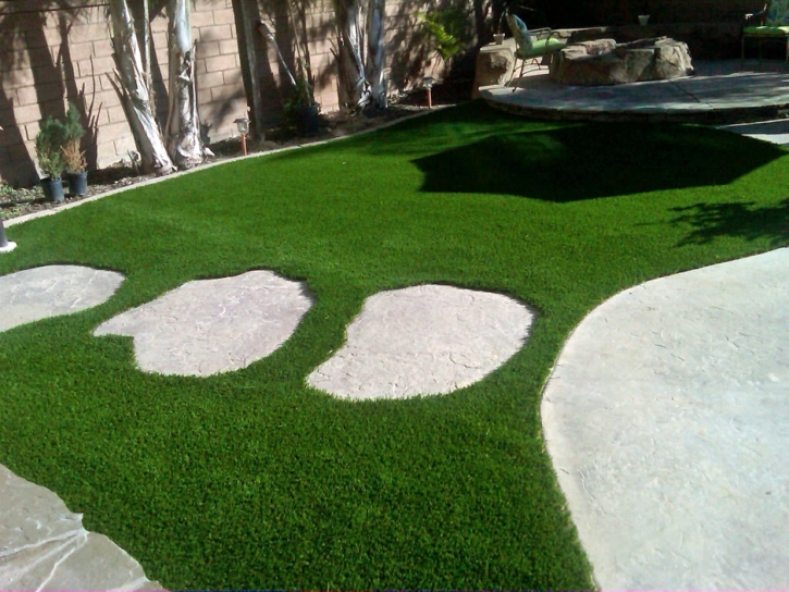 Synthetic Grass Highgrove California Landscape Back Yard