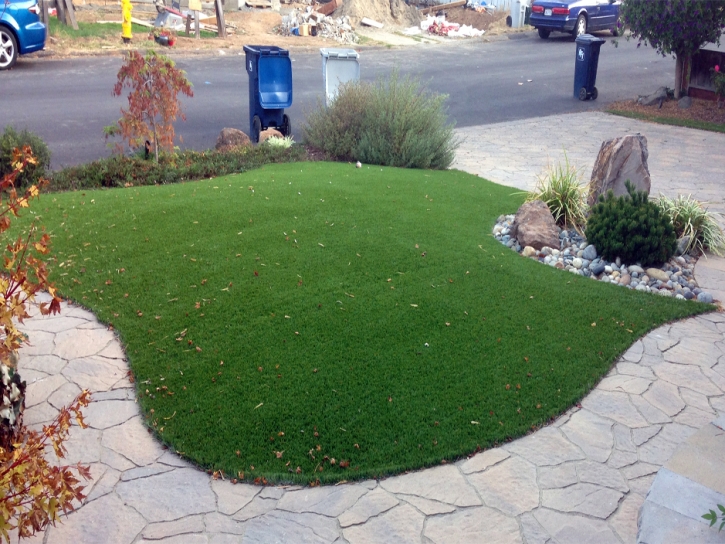 Synthetic Grass Indio California Landscape Back Yard