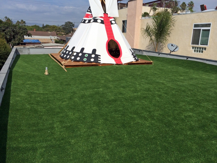 Synthetic Grass Orange California Lawn Back Yard