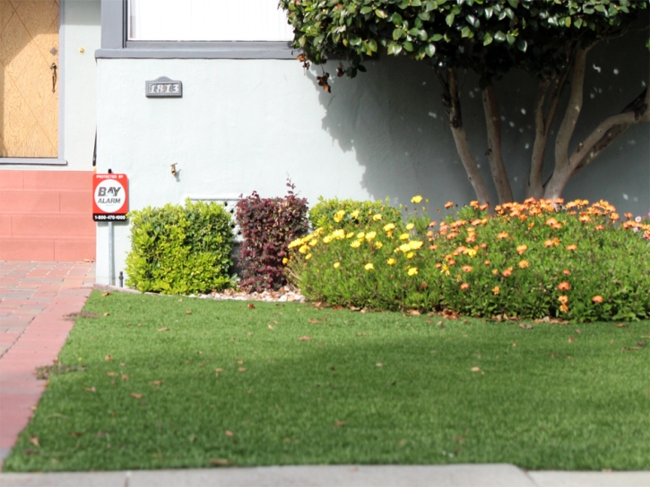 Synthetic Grass Rubidoux California Landscape Back Yard