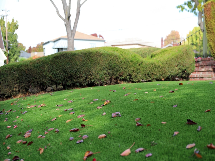 Synthetic Grass Seal Beach California Lawn Back Yard