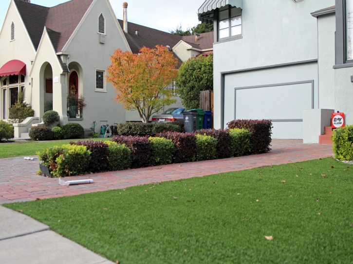 Synthetic Grass Seal Beach California Landscape Front Yard