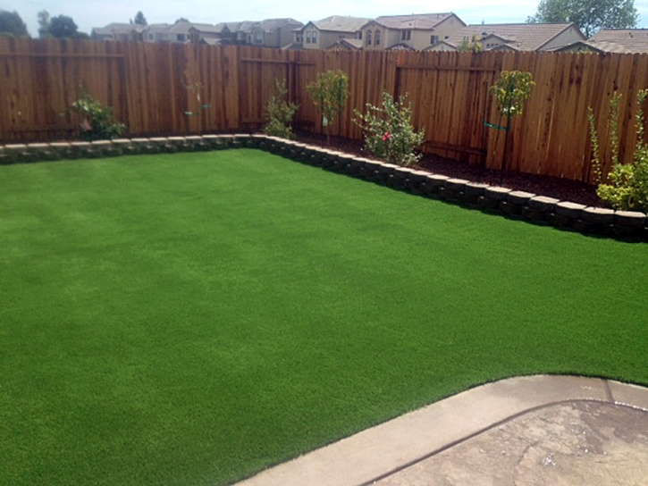 Synthetic Grass Seeley California Landscape Front Yard