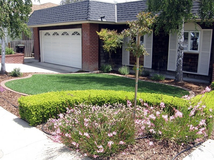 Synthetic Grass Sky Valley California Landscape Back Yard