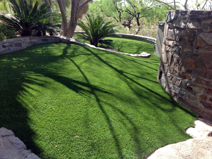 Synthetic Pet Turf La Quinta California for Dogs Back Yard