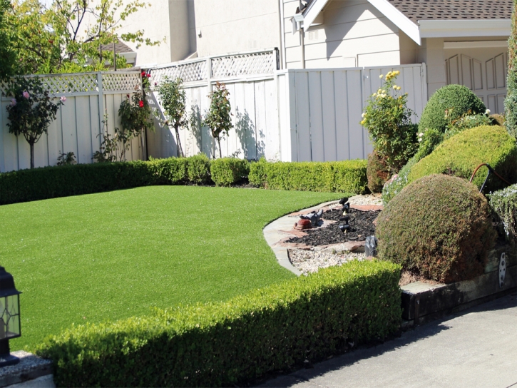 Synthetic Turf Anaheim California Lawn Front Yard