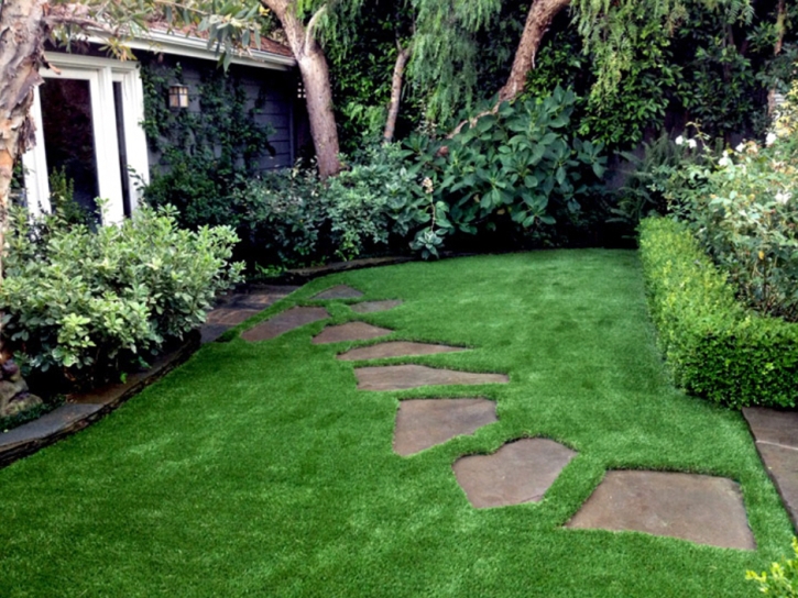 Synthetic Turf Coachella California Lawn Back Yard