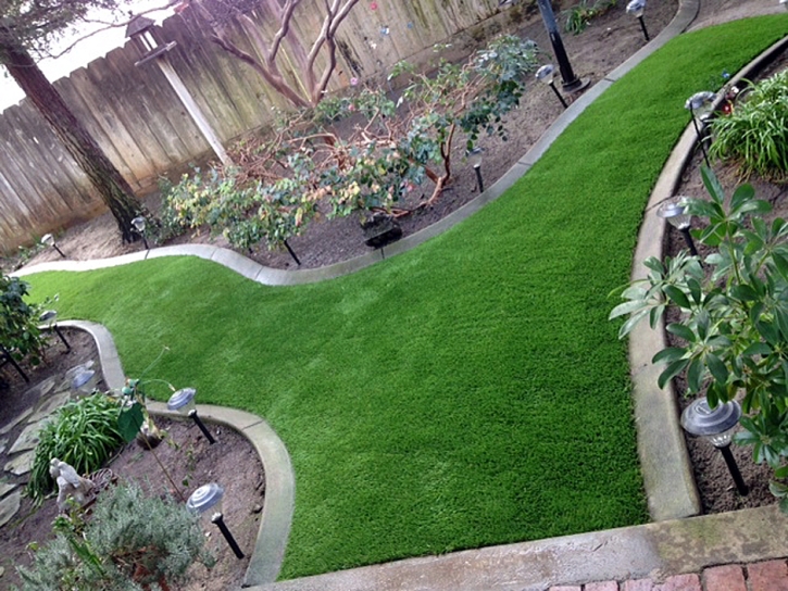 Synthetic Turf Colton California Lawn