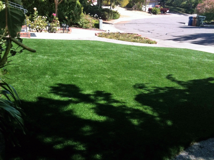 Synthetic Turf Corona California Landscape Pavers Back