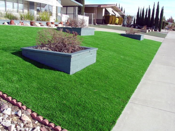 Synthetic Turf Hawaiian Gardens California Lawn