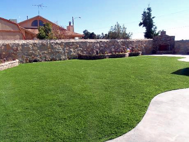 Synthetic Turf Highgrove California Lawn Fountans Back