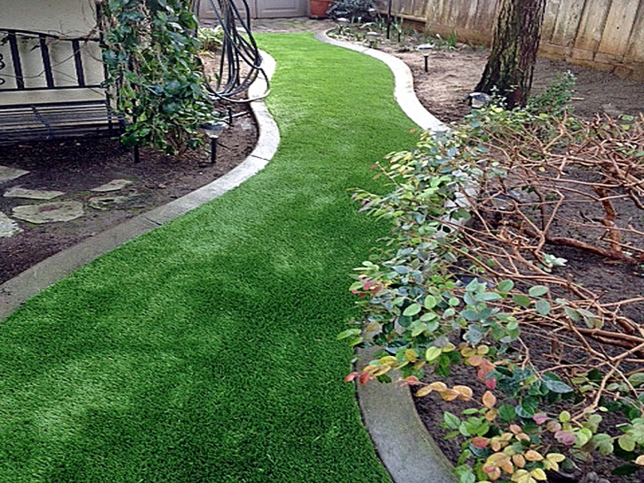 Synthetic Turf Indio Hills California Landscape Back Yard