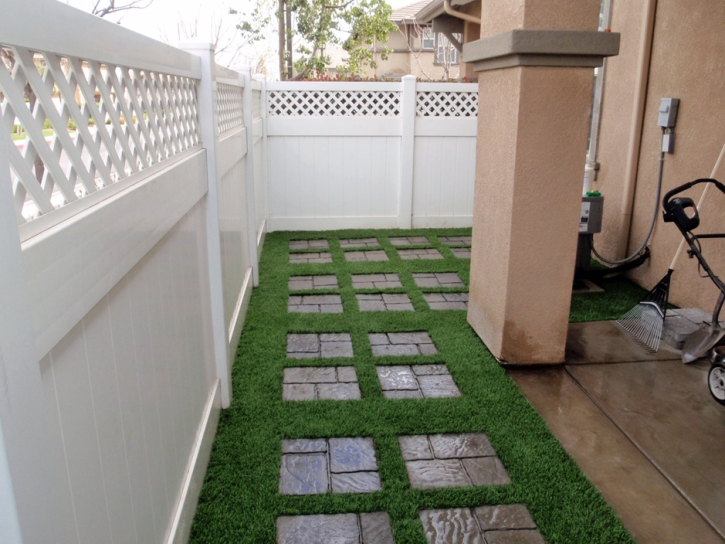 Synthetic Turf Mentone California Landscape Back Yard