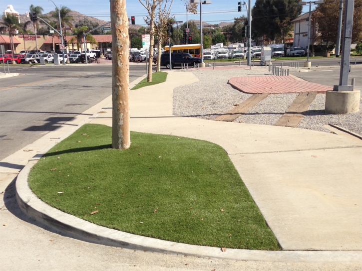 Synthetic Turf Palm Springs California Lawn