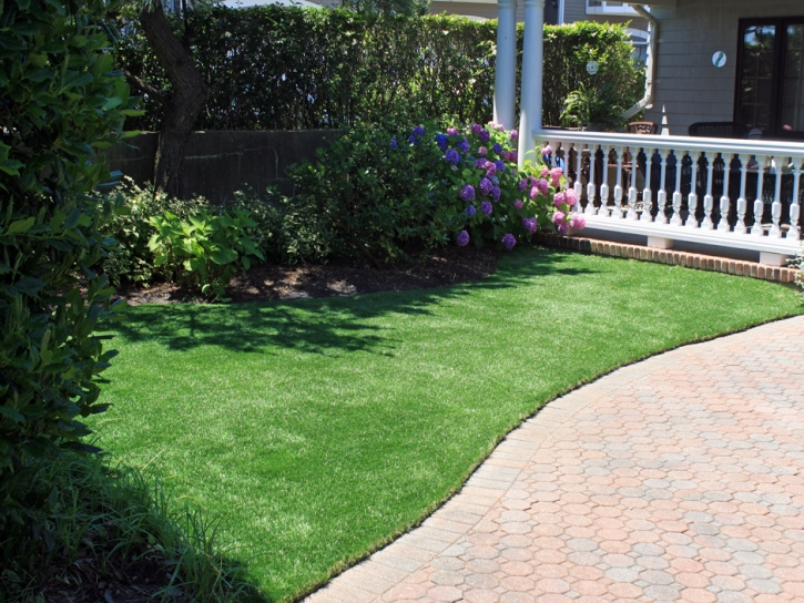 Synthetic Turf Santee California Lawn