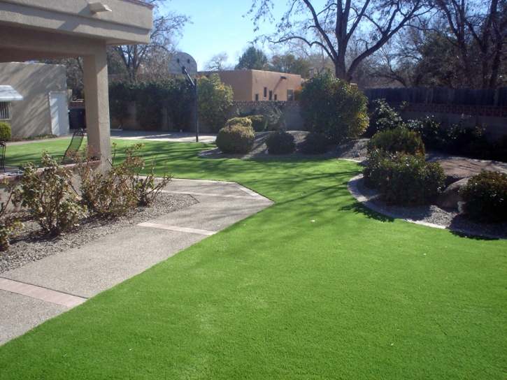 Synthetic Turf Santee California Lawn Commercial Landscape