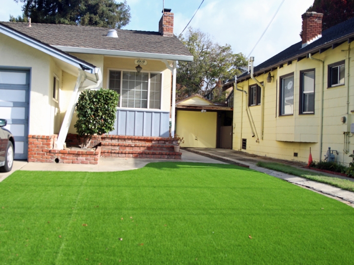 Synthetic Turf Seal Beach California Lawn Back Yard