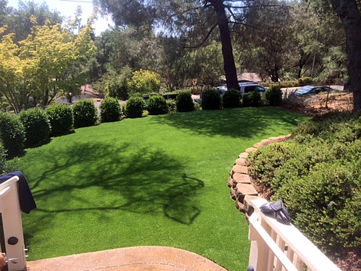 Synthetic Turf Seeley California Landscape Pools Back