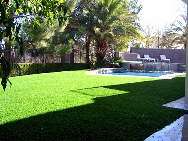 Synthetic Turf Sunset Beach California Lawn Front Yard