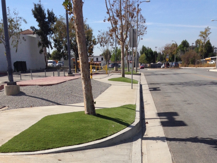 Synthetic Turf Westminster California Landscape