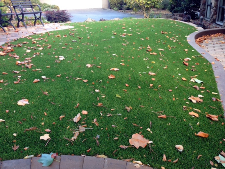 Synthetic Turf Westminster California Lawn Front Yard