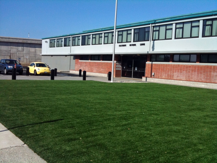 Synthetic Turf Winter Gardens California Lawn Back Yard