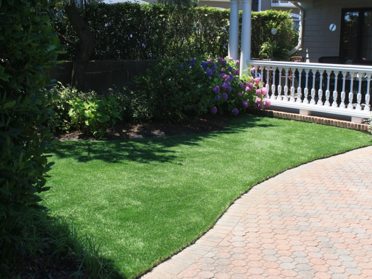 Synthetic Veterinary Clinic Palm Desert California Installation